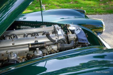 Jaguar XK 120 OTS, 1954