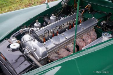 Jaguar XK 120 DHC, 1953