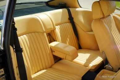 Aston Martin V8, 1980