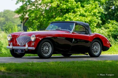 Austin Healey 100/4, 1954