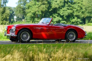 Austin Healey 100/6, 1959