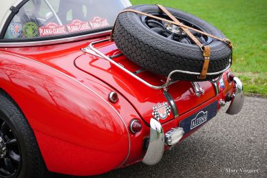 Austin Healey 100/6 Rally Car, 1958