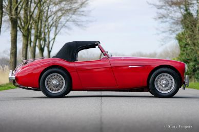 Austin Healey 100/4 BN2, 1956