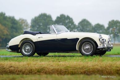 Austin Healey 3000 Mk III, 1965