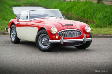 'THE BIG HEALEYS' - BOOK - Nikas & Vorgers