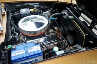 Iso Rivolta Fidia, 1969