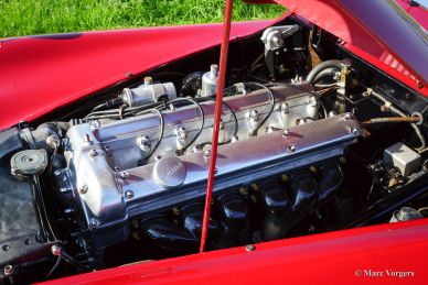 Jaguar XK 120 OTS, 1954