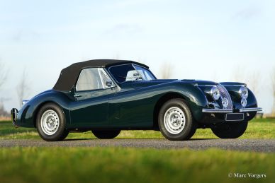 Jaguar XK 120 DHC, 1954