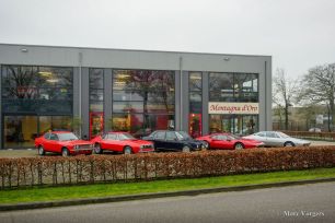Montagna-d-oro-Oosterwolde-002.jpg