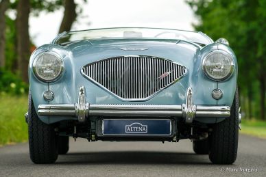 Austin Healey 100/4 BN-1, 1955