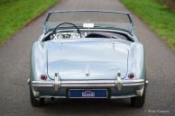 Austin Healey 100/4 (BN1), 1955
