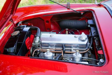 Austin Healey 100/4 'Le Mans', 1954