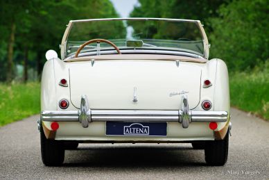 Austin Healey 100/4 BN1, 1955