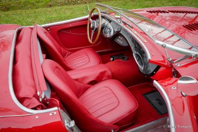 Austin Healey 100/4 BN1 ‘Le Mans’, 1954