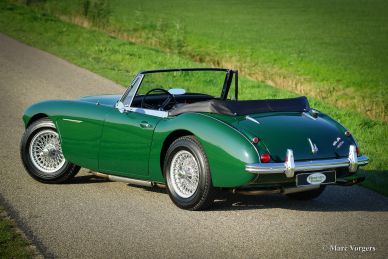 Austin Healey 3000 Mk III, 1965