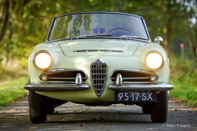Alfa Romeo Giulia 1600 Spider, 1964