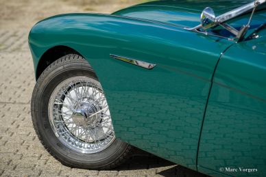 Austin Healey 100/4 BN1, 1955
