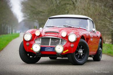 Austin Healey 100/6 Rally Car, 1958